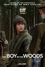 The Boy in the Woods DVD Cover