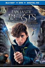 Fantastic Beasts is spellbinding fun - Blu-ray/DVD review
