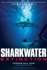 Sharkwater: Extinction teaser video set to Chantal Kreviazuk song