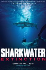 Watch Rob Stewart's Sharkwater Extinction new trailer!