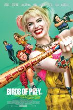 Birds of Prey take flight in another DC win - movie review